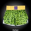 Fudoshin Shorts Photo 10