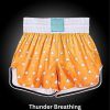Fudoshin Shorts Photo 19